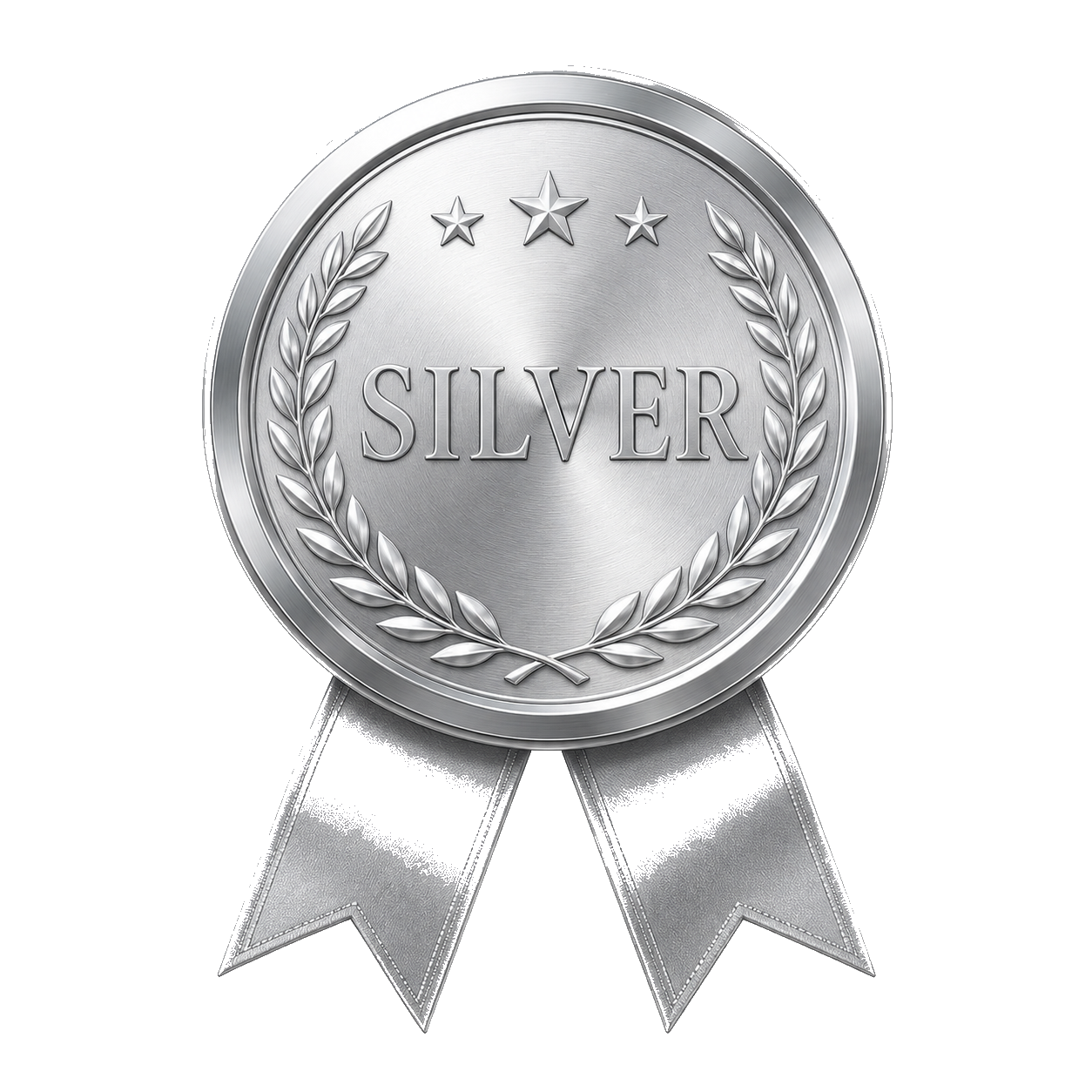 Silver medal, International Latino Book Awards 2024